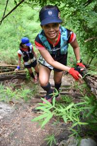 BIB: 
                            <button type="button" onclick="openModal(4424829)" class="btn btn-primary btn-sm float-right btn-popup" data-toggle="modal" data-target=".modal-high-quality">
                        <i class="fas fa-shopping-cart"></i> Add to Cart
                    </button>
                                            <button type="button" onclick="isThisMe(4424829, true)" class="btn btn-success btn-sm float-right btn-popup btn-isme hidden" data-toggle="tooltip" data-placement="bottom" title="นี่คือรูปของคุณใช่ไหม คลิกที่นี่เพื่อเอาเข้าอัลบั้ม">
                        <i class="fas fa-plus"></i> Add to album
                    </button>
                    <button type="button" onclick="isThisMe(4424829, false)" class="btn btn-warning btn-sm float-right btn-popup btn-isnotme hidden">
                        <i class="fas fa-ban"></i> Remove from album
                    </button>