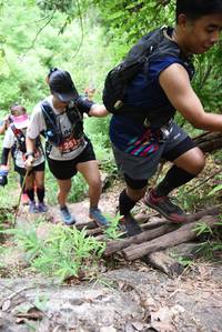 BIB: 251
                            <button type="button" onclick="openModal(4413375)" class="btn btn-primary btn-sm float-right btn-popup" data-toggle="modal" data-target=".modal-high-quality">
                        <i class="fas fa-shopping-cart"></i> Add to Cart
                    </button>
                                            <button type="button" onclick="isThisMe(4413375, true)" class="btn btn-success btn-sm float-right btn-popup btn-isme hidden" data-toggle="tooltip" data-placement="bottom" title="นี่คือรูปของคุณใช่ไหม คลิกที่นี่เพื่อเอาเข้าอัลบั้ม">
                        <i class="fas fa-plus"></i> Add to album
                    </button>
                    <button type="button" onclick="isThisMe(4413375, false)" class="btn btn-warning btn-sm float-right btn-popup btn-isnotme hidden">
                        <i class="fas fa-ban"></i> Remove from album
                    </button>