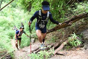 BIB: 3739
                            <button type="button" onclick="openModal(4412668)" class="btn btn-primary btn-sm float-right btn-popup" data-toggle="modal" data-target=".modal-high-quality">
                        <i class="fas fa-shopping-cart"></i> Add to Cart
                    </button>
                                            <button type="button" onclick="isThisMe(4412668, true)" class="btn btn-success btn-sm float-right btn-popup btn-isme hidden" data-toggle="tooltip" data-placement="bottom" title="นี่คือรูปของคุณใช่ไหม คลิกที่นี่เพื่อเอาเข้าอัลบั้ม">
                        <i class="fas fa-plus"></i> Add to album
                    </button>
                    <button type="button" onclick="isThisMe(4412668, false)" class="btn btn-warning btn-sm float-right btn-popup btn-isnotme hidden">
                        <i class="fas fa-ban"></i> Remove from album
                    </button>