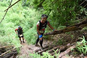 BIB: 
                            <button type="button" onclick="openModal(4424200)" class="btn btn-primary btn-sm float-right btn-popup" data-toggle="modal" data-target=".modal-high-quality">
                        <i class="fas fa-shopping-cart"></i> Add to Cart
                    </button>
                                            <button type="button" onclick="isThisMe(4424200, true)" class="btn btn-success btn-sm float-right btn-popup btn-isme hidden" data-toggle="tooltip" data-placement="bottom" title="นี่คือรูปของคุณใช่ไหม คลิกที่นี่เพื่อเอาเข้าอัลบั้ม">
                        <i class="fas fa-plus"></i> Add to album
                    </button>
                    <button type="button" onclick="isThisMe(4424200, false)" class="btn btn-warning btn-sm float-right btn-popup btn-isnotme hidden">
                        <i class="fas fa-ban"></i> Remove from album
                    </button>