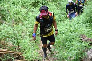 BIB: 3039, 390
                            <button type="button" onclick="openModal(4409519)" class="btn btn-primary btn-sm float-right btn-popup" data-toggle="modal" data-target=".modal-high-quality">
                        <i class="fas fa-shopping-cart"></i> Add to Cart
                    </button>
                                            <button type="button" onclick="isThisMe(4409519, true)" class="btn btn-success btn-sm float-right btn-popup btn-isme hidden" data-toggle="tooltip" data-placement="bottom" title="นี่คือรูปของคุณใช่ไหม คลิกที่นี่เพื่อเอาเข้าอัลบั้ม">
                        <i class="fas fa-plus"></i> Add to album
                    </button>
                    <button type="button" onclick="isThisMe(4409519, false)" class="btn btn-warning btn-sm float-right btn-popup btn-isnotme hidden">
                        <i class="fas fa-ban"></i> Remove from album
                    </button>