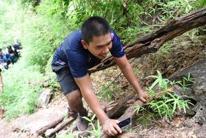 BIB: 
                            <button type="button" onclick="openModal(4412128)" class="btn btn-primary btn-sm float-right btn-popup" data-toggle="modal" data-target=".modal-high-quality">
                        <i class="fas fa-shopping-cart"></i> Add to Cart
                    </button>
                                            <button type="button" onclick="isThisMe(4412128, true)" class="btn btn-success btn-sm float-right btn-popup btn-isme hidden" data-toggle="tooltip" data-placement="bottom" title="นี่คือรูปของคุณใช่ไหม คลิกที่นี่เพื่อเอาเข้าอัลบั้ม">
                        <i class="fas fa-plus"></i> Add to album
                    </button>
                    <button type="button" onclick="isThisMe(4412128, false)" class="btn btn-warning btn-sm float-right btn-popup btn-isnotme hidden">
                        <i class="fas fa-ban"></i> Remove from album
                    </button>