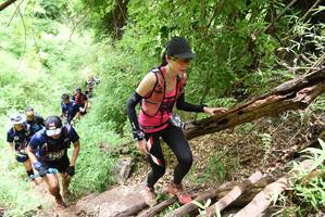 BIB: 
                            <button type="button" onclick="openModal(4413687)" class="btn btn-primary btn-sm float-right btn-popup" data-toggle="modal" data-target=".modal-high-quality">
                        <i class="fas fa-shopping-cart"></i> Add to Cart
                    </button>
                                            <button type="button" onclick="isThisMe(4413687, true)" class="btn btn-success btn-sm float-right btn-popup btn-isme hidden" data-toggle="tooltip" data-placement="bottom" title="นี่คือรูปของคุณใช่ไหม คลิกที่นี่เพื่อเอาเข้าอัลบั้ม">
                        <i class="fas fa-plus"></i> Add to album
                    </button>
                    <button type="button" onclick="isThisMe(4413687, false)" class="btn btn-warning btn-sm float-right btn-popup btn-isnotme hidden">
                        <i class="fas fa-ban"></i> Remove from album
                    </button>