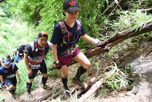 BIB: 3193
                            <button type="button" onclick="openModal(4414046)" class="btn btn-primary btn-sm float-right btn-popup" data-toggle="modal" data-target=".modal-high-quality">
                        <i class="fas fa-shopping-cart"></i> Add to Cart
                    </button>
                                            <button type="button" onclick="isThisMe(4414046, true)" class="btn btn-success btn-sm float-right btn-popup btn-isme hidden" data-toggle="tooltip" data-placement="bottom" title="นี่คือรูปของคุณใช่ไหม คลิกที่นี่เพื่อเอาเข้าอัลบั้ม">
                        <i class="fas fa-plus"></i> Add to album
                    </button>
                    <button type="button" onclick="isThisMe(4414046, false)" class="btn btn-warning btn-sm float-right btn-popup btn-isnotme hidden">
                        <i class="fas fa-ban"></i> Remove from album
                    </button>