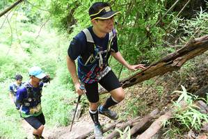 BIB: 182
                            <button type="button" onclick="openModal(4424363)" class="btn btn-primary btn-sm float-right btn-popup" data-toggle="modal" data-target=".modal-high-quality">
                        <i class="fas fa-shopping-cart"></i> Add to Cart
                    </button>
                                            <button type="button" onclick="isThisMe(4424363, true)" class="btn btn-success btn-sm float-right btn-popup btn-isme hidden" data-toggle="tooltip" data-placement="bottom" title="นี่คือรูปของคุณใช่ไหม คลิกที่นี่เพื่อเอาเข้าอัลบั้ม">
                        <i class="fas fa-plus"></i> Add to album
                    </button>
                    <button type="button" onclick="isThisMe(4424363, false)" class="btn btn-warning btn-sm float-right btn-popup btn-isnotme hidden">
                        <i class="fas fa-ban"></i> Remove from album
                    </button>