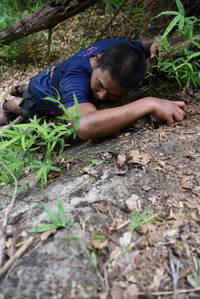 BIB: 
                            <button type="button" onclick="openModal(4412029)" class="btn btn-primary btn-sm float-right btn-popup" data-toggle="modal" data-target=".modal-high-quality">
                        <i class="fas fa-shopping-cart"></i> Add to Cart
                    </button>
                                            <button type="button" onclick="isThisMe(4412029, true)" class="btn btn-success btn-sm float-right btn-popup btn-isme hidden" data-toggle="tooltip" data-placement="bottom" title="นี่คือรูปของคุณใช่ไหม คลิกที่นี่เพื่อเอาเข้าอัลบั้ม">
                        <i class="fas fa-plus"></i> Add to album
                    </button>
                    <button type="button" onclick="isThisMe(4412029, false)" class="btn btn-warning btn-sm float-right btn-popup btn-isnotme hidden">
                        <i class="fas fa-ban"></i> Remove from album
                    </button>