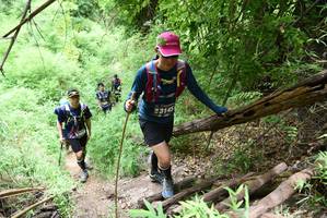 BIB: 3145
                            <button type="button" onclick="openModal(4424347)" class="btn btn-primary btn-sm float-right btn-popup" data-toggle="modal" data-target=".modal-high-quality">
                        <i class="fas fa-shopping-cart"></i> Add to Cart
                    </button>
                                            <button type="button" onclick="isThisMe(4424347, true)" class="btn btn-success btn-sm float-right btn-popup btn-isme hidden" data-toggle="tooltip" data-placement="bottom" title="นี่คือรูปของคุณใช่ไหม คลิกที่นี่เพื่อเอาเข้าอัลบั้ม">
                        <i class="fas fa-plus"></i> Add to album
                    </button>
                    <button type="button" onclick="isThisMe(4424347, false)" class="btn btn-warning btn-sm float-right btn-popup btn-isnotme hidden">
                        <i class="fas fa-ban"></i> Remove from album
                    </button>