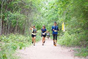 BIB: 
                            <button type="button" onclick="openModal(4169814)" class="btn btn-primary btn-sm float-right btn-popup" data-toggle="modal" data-target=".modal-high-quality">
                        <i class="fas fa-shopping-cart"></i> Add to Cart
                    </button>
                                            <button type="button" onclick="isThisMe(4169814, true)" class="btn btn-success btn-sm float-right btn-popup btn-isme hidden" data-toggle="tooltip" data-placement="bottom" title="นี่คือรูปของคุณใช่ไหม คลิกที่นี่เพื่อเอาเข้าอัลบั้ม">
                        <i class="fas fa-plus"></i> Add to album
                    </button>
                    <button type="button" onclick="isThisMe(4169814, false)" class="btn btn-warning btn-sm float-right btn-popup btn-isnotme hidden">
                        <i class="fas fa-ban"></i> Remove from album
                    </button>