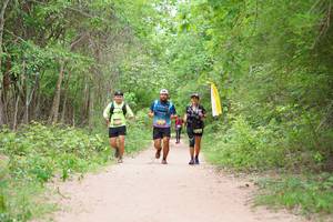 BIB: 
                            <button type="button" onclick="openModal(4171241)" class="btn btn-primary btn-sm float-right btn-popup" data-toggle="modal" data-target=".modal-high-quality">
                        <i class="fas fa-shopping-cart"></i> Add to Cart
                    </button>
                                            <button type="button" onclick="isThisMe(4171241, true)" class="btn btn-success btn-sm float-right btn-popup btn-isme hidden" data-toggle="tooltip" data-placement="bottom" title="นี่คือรูปของคุณใช่ไหม คลิกที่นี่เพื่อเอาเข้าอัลบั้ม">
                        <i class="fas fa-plus"></i> Add to album
                    </button>
                    <button type="button" onclick="isThisMe(4171241, false)" class="btn btn-warning btn-sm float-right btn-popup btn-isnotme hidden">
                        <i class="fas fa-ban"></i> Remove from album
                    </button>