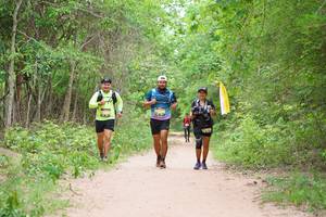 BIB: 
                            <button type="button" onclick="openModal(4171358)" class="btn btn-primary btn-sm float-right btn-popup" data-toggle="modal" data-target=".modal-high-quality">
                        <i class="fas fa-shopping-cart"></i> Add to Cart
                    </button>
                                            <button type="button" onclick="isThisMe(4171358, true)" class="btn btn-success btn-sm float-right btn-popup btn-isme hidden" data-toggle="tooltip" data-placement="bottom" title="นี่คือรูปของคุณใช่ไหม คลิกที่นี่เพื่อเอาเข้าอัลบั้ม">
                        <i class="fas fa-plus"></i> Add to album
                    </button>
                    <button type="button" onclick="isThisMe(4171358, false)" class="btn btn-warning btn-sm float-right btn-popup btn-isnotme hidden">
                        <i class="fas fa-ban"></i> Remove from album
                    </button>