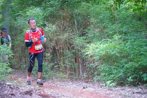 BIB: 
                            <button type="button" onclick="openModal(4167520)" class="btn btn-primary btn-sm float-right btn-popup" data-toggle="modal" data-target=".modal-high-quality">
                        <i class="fas fa-shopping-cart"></i> Add to Cart
                    </button>
                                            <button type="button" onclick="isThisMe(4167520, true)" class="btn btn-success btn-sm float-right btn-popup btn-isme hidden" data-toggle="tooltip" data-placement="bottom" title="นี่คือรูปของคุณใช่ไหม คลิกที่นี่เพื่อเอาเข้าอัลบั้ม">
                        <i class="fas fa-plus"></i> Add to album
                    </button>
                    <button type="button" onclick="isThisMe(4167520, false)" class="btn btn-warning btn-sm float-right btn-popup btn-isnotme hidden">
                        <i class="fas fa-ban"></i> Remove from album
                    </button>