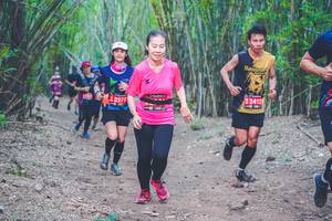 BIB: 2412, 2277
                            <button type="button" onclick="openModal(4471711)" class="btn btn-primary btn-sm float-right btn-popup" data-toggle="modal" data-target=".modal-high-quality">
                        <i class="fas fa-shopping-cart"></i> Add to Cart
                    </button>
                                            <button type="button" onclick="isThisMe(4471711, true)" class="btn btn-success btn-sm float-right btn-popup btn-isme hidden" data-toggle="tooltip" data-placement="bottom" title="นี่คือรูปของคุณใช่ไหม คลิกที่นี่เพื่อเอาเข้าอัลบั้ม">
                        <i class="fas fa-plus"></i> Add to album
                    </button>
                    <button type="button" onclick="isThisMe(4471711, false)" class="btn btn-warning btn-sm float-right btn-popup btn-isnotme hidden">
                        <i class="fas fa-ban"></i> Remove from album
                    </button>