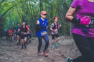 BIB: 309, 3413, 3837
                            <button type="button" onclick="openModal(4423358)" class="btn btn-primary btn-sm float-right btn-popup" data-toggle="modal" data-target=".modal-high-quality">
                        <i class="fas fa-shopping-cart"></i> Add to Cart
                    </button>
                                            <button type="button" onclick="isThisMe(4423358, true)" class="btn btn-success btn-sm float-right btn-popup btn-isme hidden" data-toggle="tooltip" data-placement="bottom" title="นี่คือรูปของคุณใช่ไหม คลิกที่นี่เพื่อเอาเข้าอัลบั้ม">
                        <i class="fas fa-plus"></i> Add to album
                    </button>
                    <button type="button" onclick="isThisMe(4423358, false)" class="btn btn-warning btn-sm float-right btn-popup btn-isnotme hidden">
                        <i class="fas fa-ban"></i> Remove from album
                    </button>