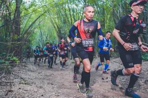 BIB: 3780, 381
                            <button type="button" onclick="openModal(4423829)" class="btn btn-primary btn-sm float-right btn-popup" data-toggle="modal" data-target=".modal-high-quality">
                        <i class="fas fa-shopping-cart"></i> Add to Cart
                    </button>
                                            <button type="button" onclick="isThisMe(4423829, true)" class="btn btn-success btn-sm float-right btn-popup btn-isme hidden" data-toggle="tooltip" data-placement="bottom" title="นี่คือรูปของคุณใช่ไหม คลิกที่นี่เพื่อเอาเข้าอัลบั้ม">
                        <i class="fas fa-plus"></i> Add to album
                    </button>
                    <button type="button" onclick="isThisMe(4423829, false)" class="btn btn-warning btn-sm float-right btn-popup btn-isnotme hidden">
                        <i class="fas fa-ban"></i> Remove from album
                    </button>