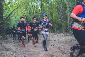 BIB: 3335, 385, 3348
                            <button type="button" onclick="openModal(4423820)" class="btn btn-primary btn-sm float-right btn-popup" data-toggle="modal" data-target=".modal-high-quality">
                        <i class="fas fa-shopping-cart"></i> Add to Cart
                    </button>
                                            <button type="button" onclick="isThisMe(4423820, true)" class="btn btn-success btn-sm float-right btn-popup btn-isme hidden" data-toggle="tooltip" data-placement="bottom" title="นี่คือรูปของคุณใช่ไหม คลิกที่นี่เพื่อเอาเข้าอัลบั้ม">
                        <i class="fas fa-plus"></i> Add to album
                    </button>
                    <button type="button" onclick="isThisMe(4423820, false)" class="btn btn-warning btn-sm float-right btn-popup btn-isnotme hidden">
                        <i class="fas fa-ban"></i> Remove from album
                    </button>