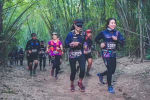 BIB: 3292, 82052, 3270
                            <button type="button" onclick="openModal(4423925)" class="btn btn-primary btn-sm float-right btn-popup" data-toggle="modal" data-target=".modal-high-quality">
                        <i class="fas fa-shopping-cart"></i> Add to Cart
                    </button>
                                            <button type="button" onclick="isThisMe(4423925, true)" class="btn btn-success btn-sm float-right btn-popup btn-isme hidden" data-toggle="tooltip" data-placement="bottom" title="นี่คือรูปของคุณใช่ไหม คลิกที่นี่เพื่อเอาเข้าอัลบั้ม">
                        <i class="fas fa-plus"></i> Add to album
                    </button>
                    <button type="button" onclick="isThisMe(4423925, false)" class="btn btn-warning btn-sm float-right btn-popup btn-isnotme hidden">
                        <i class="fas fa-ban"></i> Remove from album
                    </button>