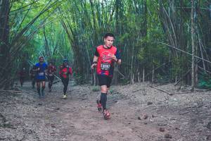 BIB: 3787
                            <button type="button" onclick="openModal(4423182)" class="btn btn-primary btn-sm float-right btn-popup" data-toggle="modal" data-target=".modal-high-quality">
                        <i class="fas fa-shopping-cart"></i> Add to Cart
                    </button>
                                            <button type="button" onclick="isThisMe(4423182, true)" class="btn btn-success btn-sm float-right btn-popup btn-isme hidden" data-toggle="tooltip" data-placement="bottom" title="นี่คือรูปของคุณใช่ไหม คลิกที่นี่เพื่อเอาเข้าอัลบั้ม">
                        <i class="fas fa-plus"></i> Add to album
                    </button>
                    <button type="button" onclick="isThisMe(4423182, false)" class="btn btn-warning btn-sm float-right btn-popup btn-isnotme hidden">
                        <i class="fas fa-ban"></i> Remove from album
                    </button>