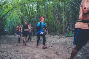 BIB: 3463, 3619
                            <button type="button" onclick="openModal(4423512)" class="btn btn-primary btn-sm float-right btn-popup" data-toggle="modal" data-target=".modal-high-quality">
                        <i class="fas fa-shopping-cart"></i> Add to Cart
                    </button>
                                            <button type="button" onclick="isThisMe(4423512, true)" class="btn btn-success btn-sm float-right btn-popup btn-isme hidden" data-toggle="tooltip" data-placement="bottom" title="นี่คือรูปของคุณใช่ไหม คลิกที่นี่เพื่อเอาเข้าอัลบั้ม">
                        <i class="fas fa-plus"></i> Add to album
                    </button>
                    <button type="button" onclick="isThisMe(4423512, false)" class="btn btn-warning btn-sm float-right btn-popup btn-isnotme hidden">
                        <i class="fas fa-ban"></i> Remove from album
                    </button>