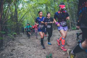 BIB: 3811, 3408, 3410
                            <button type="button" onclick="openModal(4424656)" class="btn btn-primary btn-sm float-right btn-popup" data-toggle="modal" data-target=".modal-high-quality">
                        <i class="fas fa-shopping-cart"></i> Add to Cart
                    </button>
                                            <button type="button" onclick="isThisMe(4424656, true)" class="btn btn-success btn-sm float-right btn-popup btn-isme hidden" data-toggle="tooltip" data-placement="bottom" title="นี่คือรูปของคุณใช่ไหม คลิกที่นี่เพื่อเอาเข้าอัลบั้ม">
                        <i class="fas fa-plus"></i> Add to album
                    </button>
                    <button type="button" onclick="isThisMe(4424656, false)" class="btn btn-warning btn-sm float-right btn-popup btn-isnotme hidden">
                        <i class="fas fa-ban"></i> Remove from album
                    </button>