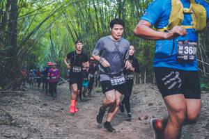 BIB: 3808, 3390
                            <button type="button" onclick="openModal(4423348)" class="btn btn-primary btn-sm float-right btn-popup" data-toggle="modal" data-target=".modal-high-quality">
                        <i class="fas fa-shopping-cart"></i> Add to Cart
                    </button>
                                            <button type="button" onclick="isThisMe(4423348, true)" class="btn btn-success btn-sm float-right btn-popup btn-isme hidden" data-toggle="tooltip" data-placement="bottom" title="นี่คือรูปของคุณใช่ไหม คลิกที่นี่เพื่อเอาเข้าอัลบั้ม">
                        <i class="fas fa-plus"></i> Add to album
                    </button>
                    <button type="button" onclick="isThisMe(4423348, false)" class="btn btn-warning btn-sm float-right btn-popup btn-isnotme hidden">
                        <i class="fas fa-ban"></i> Remove from album
                    </button>