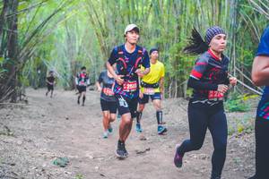 BIB: 258
                            <button type="button" onclick="openModal(4472006)" class="btn btn-primary btn-sm float-right btn-popup" data-toggle="modal" data-target=".modal-high-quality">
                        <i class="fas fa-shopping-cart"></i> Add to Cart
                    </button>
                                            <button type="button" onclick="isThisMe(4472006, true)" class="btn btn-success btn-sm float-right btn-popup btn-isme hidden" data-toggle="tooltip" data-placement="bottom" title="นี่คือรูปของคุณใช่ไหม คลิกที่นี่เพื่อเอาเข้าอัลบั้ม">
                        <i class="fas fa-plus"></i> Add to album
                    </button>
                    <button type="button" onclick="isThisMe(4472006, false)" class="btn btn-warning btn-sm float-right btn-popup btn-isnotme hidden">
                        <i class="fas fa-ban"></i> Remove from album
                    </button>