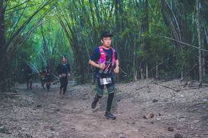 BIB: 
                            <button type="button" onclick="openModal(4423017)" class="btn btn-primary btn-sm float-right btn-popup" data-toggle="modal" data-target=".modal-high-quality">
                        <i class="fas fa-shopping-cart"></i> Add to Cart
                    </button>
                                            <button type="button" onclick="isThisMe(4423017, true)" class="btn btn-success btn-sm float-right btn-popup btn-isme hidden" data-toggle="tooltip" data-placement="bottom" title="นี่คือรูปของคุณใช่ไหม คลิกที่นี่เพื่อเอาเข้าอัลบั้ม">
                        <i class="fas fa-plus"></i> Add to album
                    </button>
                    <button type="button" onclick="isThisMe(4423017, false)" class="btn btn-warning btn-sm float-right btn-popup btn-isnotme hidden">
                        <i class="fas fa-ban"></i> Remove from album
                    </button>