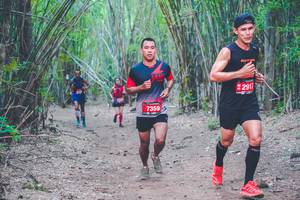 BIB: 2917, 7359
                            <button type="button" onclick="openModal(4470929)" class="btn btn-primary btn-sm float-right btn-popup" data-toggle="modal" data-target=".modal-high-quality">
                        <i class="fas fa-shopping-cart"></i> Add to Cart
                    </button>
                                            <button type="button" onclick="isThisMe(4470929, true)" class="btn btn-success btn-sm float-right btn-popup btn-isme hidden" data-toggle="tooltip" data-placement="bottom" title="นี่คือรูปของคุณใช่ไหม คลิกที่นี่เพื่อเอาเข้าอัลบั้ม">
                        <i class="fas fa-plus"></i> Add to album
                    </button>
                    <button type="button" onclick="isThisMe(4470929, false)" class="btn btn-warning btn-sm float-right btn-popup btn-isnotme hidden">
                        <i class="fas fa-ban"></i> Remove from album
                    </button>