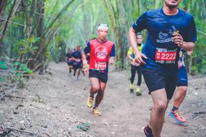 BIB: 2222
                            <button type="button" onclick="openModal(4471945)" class="btn btn-primary btn-sm float-right btn-popup" data-toggle="modal" data-target=".modal-high-quality">
                        <i class="fas fa-shopping-cart"></i> Add to Cart
                    </button>
                                            <button type="button" onclick="isThisMe(4471945, true)" class="btn btn-success btn-sm float-right btn-popup btn-isme hidden" data-toggle="tooltip" data-placement="bottom" title="นี่คือรูปของคุณใช่ไหม คลิกที่นี่เพื่อเอาเข้าอัลบั้ม">
                        <i class="fas fa-plus"></i> Add to album
                    </button>
                    <button type="button" onclick="isThisMe(4471945, false)" class="btn btn-warning btn-sm float-right btn-popup btn-isnotme hidden">
                        <i class="fas fa-ban"></i> Remove from album
                    </button>