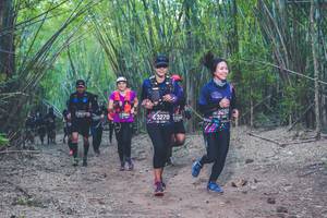 BIB: 3292, 3270
                            <button type="button" onclick="openModal(4423921)" class="btn btn-primary btn-sm float-right btn-popup" data-toggle="modal" data-target=".modal-high-quality">
                        <i class="fas fa-shopping-cart"></i> Add to Cart
                    </button>
                                            <button type="button" onclick="isThisMe(4423921, true)" class="btn btn-success btn-sm float-right btn-popup btn-isme hidden" data-toggle="tooltip" data-placement="bottom" title="นี่คือรูปของคุณใช่ไหม คลิกที่นี่เพื่อเอาเข้าอัลบั้ม">
                        <i class="fas fa-plus"></i> Add to album
                    </button>
                    <button type="button" onclick="isThisMe(4423921, false)" class="btn btn-warning btn-sm float-right btn-popup btn-isnotme hidden">
                        <i class="fas fa-ban"></i> Remove from album
                    </button>