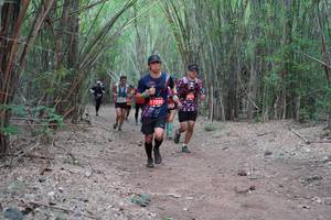 BIB: 257, 7225
                            <button type="button" onclick="openModal(4440418)" class="btn btn-primary btn-sm float-right btn-popup" data-toggle="modal" data-target=".modal-high-quality">
                        <i class="fas fa-shopping-cart"></i> Add to Cart
                    </button>
                                            <button type="button" onclick="isThisMe(4440418, true)" class="btn btn-success btn-sm float-right btn-popup btn-isme hidden" data-toggle="tooltip" data-placement="bottom" title="นี่คือรูปของคุณใช่ไหม คลิกที่นี่เพื่อเอาเข้าอัลบั้ม">
                        <i class="fas fa-plus"></i> Add to album
                    </button>
                    <button type="button" onclick="isThisMe(4440418, false)" class="btn btn-warning btn-sm float-right btn-popup btn-isnotme hidden">
                        <i class="fas fa-ban"></i> Remove from album
                    </button>