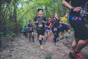 BIB: 3635, 318
                            <button type="button" onclick="openModal(4424652)" class="btn btn-primary btn-sm float-right btn-popup" data-toggle="modal" data-target=".modal-high-quality">
                        <i class="fas fa-shopping-cart"></i> Add to Cart
                    </button>
                                            <button type="button" onclick="isThisMe(4424652, true)" class="btn btn-success btn-sm float-right btn-popup btn-isme hidden" data-toggle="tooltip" data-placement="bottom" title="นี่คือรูปของคุณใช่ไหม คลิกที่นี่เพื่อเอาเข้าอัลบั้ม">
                        <i class="fas fa-plus"></i> Add to album
                    </button>
                    <button type="button" onclick="isThisMe(4424652, false)" class="btn btn-warning btn-sm float-right btn-popup btn-isnotme hidden">
                        <i class="fas fa-ban"></i> Remove from album
                    </button>