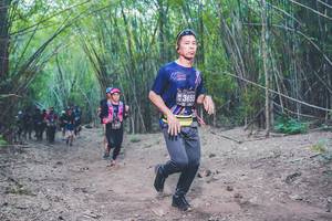 BIB: 
                            <button type="button" onclick="openModal(4423801)" class="btn btn-primary btn-sm float-right btn-popup" data-toggle="modal" data-target=".modal-high-quality">
                        <i class="fas fa-shopping-cart"></i> Add to Cart
                    </button>
                                            <button type="button" onclick="isThisMe(4423801, true)" class="btn btn-success btn-sm float-right btn-popup btn-isme hidden" data-toggle="tooltip" data-placement="bottom" title="นี่คือรูปของคุณใช่ไหม คลิกที่นี่เพื่อเอาเข้าอัลบั้ม">
                        <i class="fas fa-plus"></i> Add to album
                    </button>
                    <button type="button" onclick="isThisMe(4423801, false)" class="btn btn-warning btn-sm float-right btn-popup btn-isnotme hidden">
                        <i class="fas fa-ban"></i> Remove from album
                    </button>