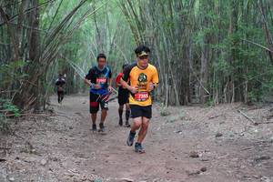 BIB: 
                            <button type="button" onclick="openModal(4440333)" class="btn btn-primary btn-sm float-right btn-popup" data-toggle="modal" data-target=".modal-high-quality">
                        <i class="fas fa-shopping-cart"></i> Add to Cart
                    </button>
                                            <button type="button" onclick="isThisMe(4440333, true)" class="btn btn-success btn-sm float-right btn-popup btn-isme hidden" data-toggle="tooltip" data-placement="bottom" title="นี่คือรูปของคุณใช่ไหม คลิกที่นี่เพื่อเอาเข้าอัลบั้ม">
                        <i class="fas fa-plus"></i> Add to album
                    </button>
                    <button type="button" onclick="isThisMe(4440333, false)" class="btn btn-warning btn-sm float-right btn-popup btn-isnotme hidden">
                        <i class="fas fa-ban"></i> Remove from album
                    </button>