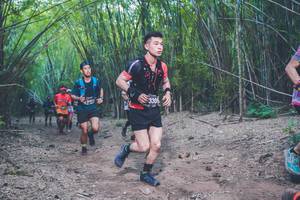 BIB: 3309
                            <button type="button" onclick="openModal(4423377)" class="btn btn-primary btn-sm float-right btn-popup" data-toggle="modal" data-target=".modal-high-quality">
                        <i class="fas fa-shopping-cart"></i> Add to Cart
                    </button>
                                            <button type="button" onclick="isThisMe(4423377, true)" class="btn btn-success btn-sm float-right btn-popup btn-isme hidden" data-toggle="tooltip" data-placement="bottom" title="นี่คือรูปของคุณใช่ไหม คลิกที่นี่เพื่อเอาเข้าอัลบั้ม">
                        <i class="fas fa-plus"></i> Add to album
                    </button>
                    <button type="button" onclick="isThisMe(4423377, false)" class="btn btn-warning btn-sm float-right btn-popup btn-isnotme hidden">
                        <i class="fas fa-ban"></i> Remove from album
                    </button>