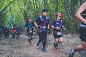 BIB: 3002, 13266, 3020
                            <button type="button" onclick="openModal(4423759)" class="btn btn-primary btn-sm float-right btn-popup" data-toggle="modal" data-target=".modal-high-quality">
                        <i class="fas fa-shopping-cart"></i> Add to Cart
                    </button>
                                            <button type="button" onclick="isThisMe(4423759, true)" class="btn btn-success btn-sm float-right btn-popup btn-isme hidden" data-toggle="tooltip" data-placement="bottom" title="นี่คือรูปของคุณใช่ไหม คลิกที่นี่เพื่อเอาเข้าอัลบั้ม">
                        <i class="fas fa-plus"></i> Add to album
                    </button>
                    <button type="button" onclick="isThisMe(4423759, false)" class="btn btn-warning btn-sm float-right btn-popup btn-isnotme hidden">
                        <i class="fas fa-ban"></i> Remove from album
                    </button>