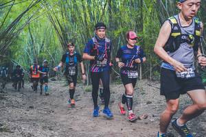 BIB: 3002, 1328, 3020
                            <button type="button" onclick="openModal(4423760)" class="btn btn-primary btn-sm float-right btn-popup" data-toggle="modal" data-target=".modal-high-quality">
                        <i class="fas fa-shopping-cart"></i> Add to Cart
                    </button>
                                            <button type="button" onclick="isThisMe(4423760, true)" class="btn btn-success btn-sm float-right btn-popup btn-isme hidden" data-toggle="tooltip" data-placement="bottom" title="นี่คือรูปของคุณใช่ไหม คลิกที่นี่เพื่อเอาเข้าอัลบั้ม">
                        <i class="fas fa-plus"></i> Add to album
                    </button>
                    <button type="button" onclick="isThisMe(4423760, false)" class="btn btn-warning btn-sm float-right btn-popup btn-isnotme hidden">
                        <i class="fas fa-ban"></i> Remove from album
                    </button>