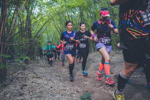 BIB: 3811, 13410, 3408
                            <button type="button" onclick="openModal(4424655)" class="btn btn-primary btn-sm float-right btn-popup" data-toggle="modal" data-target=".modal-high-quality">
                        <i class="fas fa-shopping-cart"></i> Add to Cart
                    </button>
                                            <button type="button" onclick="isThisMe(4424655, true)" class="btn btn-success btn-sm float-right btn-popup btn-isme hidden" data-toggle="tooltip" data-placement="bottom" title="นี่คือรูปของคุณใช่ไหม คลิกที่นี่เพื่อเอาเข้าอัลบั้ม">
                        <i class="fas fa-plus"></i> Add to album
                    </button>
                    <button type="button" onclick="isThisMe(4424655, false)" class="btn btn-warning btn-sm float-right btn-popup btn-isnotme hidden">
                        <i class="fas fa-ban"></i> Remove from album
                    </button>