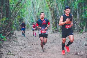 BIB: 2917, 7359
                            <button type="button" onclick="openModal(4470925)" class="btn btn-primary btn-sm float-right btn-popup" data-toggle="modal" data-target=".modal-high-quality">
                        <i class="fas fa-shopping-cart"></i> Add to Cart
                    </button>
                                            <button type="button" onclick="isThisMe(4470925, true)" class="btn btn-success btn-sm float-right btn-popup btn-isme hidden" data-toggle="tooltip" data-placement="bottom" title="นี่คือรูปของคุณใช่ไหม คลิกที่นี่เพื่อเอาเข้าอัลบั้ม">
                        <i class="fas fa-plus"></i> Add to album
                    </button>
                    <button type="button" onclick="isThisMe(4470925, false)" class="btn btn-warning btn-sm float-right btn-popup btn-isnotme hidden">
                        <i class="fas fa-ban"></i> Remove from album
                    </button>