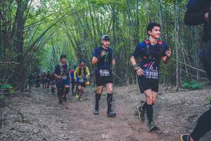 BIB: 3686, 3181
                            <button type="button" onclick="openModal(4424596)" class="btn btn-primary btn-sm float-right btn-popup" data-toggle="modal" data-target=".modal-high-quality">
                        <i class="fas fa-shopping-cart"></i> Add to Cart
                    </button>
                                            <button type="button" onclick="isThisMe(4424596, true)" class="btn btn-success btn-sm float-right btn-popup btn-isme hidden" data-toggle="tooltip" data-placement="bottom" title="นี่คือรูปของคุณใช่ไหม คลิกที่นี่เพื่อเอาเข้าอัลบั้ม">
                        <i class="fas fa-plus"></i> Add to album
                    </button>
                    <button type="button" onclick="isThisMe(4424596, false)" class="btn btn-warning btn-sm float-right btn-popup btn-isnotme hidden">
                        <i class="fas fa-ban"></i> Remove from album
                    </button>