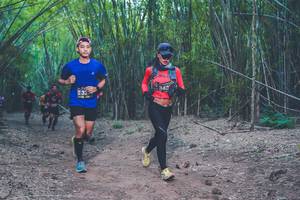 BIB: 340
                            <button type="button" onclick="openModal(4423202)" class="btn btn-primary btn-sm float-right btn-popup" data-toggle="modal" data-target=".modal-high-quality">
                        <i class="fas fa-shopping-cart"></i> Add to Cart
                    </button>
                                            <button type="button" onclick="isThisMe(4423202, true)" class="btn btn-success btn-sm float-right btn-popup btn-isme hidden" data-toggle="tooltip" data-placement="bottom" title="นี่คือรูปของคุณใช่ไหม คลิกที่นี่เพื่อเอาเข้าอัลบั้ม">
                        <i class="fas fa-plus"></i> Add to album
                    </button>
                    <button type="button" onclick="isThisMe(4423202, false)" class="btn btn-warning btn-sm float-right btn-popup btn-isnotme hidden">
                        <i class="fas fa-ban"></i> Remove from album
                    </button>