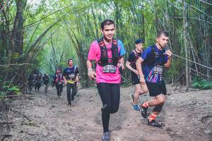 BIB: 3532, 330
                            <button type="button" onclick="openModal(4423787)" class="btn btn-primary btn-sm float-right btn-popup" data-toggle="modal" data-target=".modal-high-quality">
                        <i class="fas fa-shopping-cart"></i> Add to Cart
                    </button>
                                            <button type="button" onclick="isThisMe(4423787, true)" class="btn btn-success btn-sm float-right btn-popup btn-isme hidden" data-toggle="tooltip" data-placement="bottom" title="นี่คือรูปของคุณใช่ไหม คลิกที่นี่เพื่อเอาเข้าอัลบั้ม">
                        <i class="fas fa-plus"></i> Add to album
                    </button>
                    <button type="button" onclick="isThisMe(4423787, false)" class="btn btn-warning btn-sm float-right btn-popup btn-isnotme hidden">
                        <i class="fas fa-ban"></i> Remove from album
                    </button>