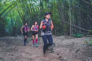 BIB: 799
                            <button type="button" onclick="openModal(4422966)" class="btn btn-primary btn-sm float-right btn-popup" data-toggle="modal" data-target=".modal-high-quality">
                        <i class="fas fa-shopping-cart"></i> Add to Cart
                    </button>
                                            <button type="button" onclick="isThisMe(4422966, true)" class="btn btn-success btn-sm float-right btn-popup btn-isme hidden" data-toggle="tooltip" data-placement="bottom" title="นี่คือรูปของคุณใช่ไหม คลิกที่นี่เพื่อเอาเข้าอัลบั้ม">
                        <i class="fas fa-plus"></i> Add to album
                    </button>
                    <button type="button" onclick="isThisMe(4422966, false)" class="btn btn-warning btn-sm float-right btn-popup btn-isnotme hidden">
                        <i class="fas fa-ban"></i> Remove from album
                    </button>