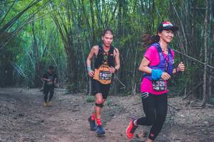 BIB: 4010, 329
                            <button type="button" onclick="openModal(4423270)" class="btn btn-primary btn-sm float-right btn-popup" data-toggle="modal" data-target=".modal-high-quality">
                        <i class="fas fa-shopping-cart"></i> Add to Cart
                    </button>
                                            <button type="button" onclick="isThisMe(4423270, true)" class="btn btn-success btn-sm float-right btn-popup btn-isme hidden" data-toggle="tooltip" data-placement="bottom" title="นี่คือรูปของคุณใช่ไหม คลิกที่นี่เพื่อเอาเข้าอัลบั้ม">
                        <i class="fas fa-plus"></i> Add to album
                    </button>
                    <button type="button" onclick="isThisMe(4423270, false)" class="btn btn-warning btn-sm float-right btn-popup btn-isnotme hidden">
                        <i class="fas fa-ban"></i> Remove from album
                    </button>