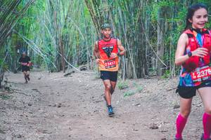 BIB: 2417, 2376
                            <button type="button" onclick="openModal(4470954)" class="btn btn-primary btn-sm float-right btn-popup" data-toggle="modal" data-target=".modal-high-quality">
                        <i class="fas fa-shopping-cart"></i> Add to Cart
                    </button>
                                            <button type="button" onclick="isThisMe(4470954, true)" class="btn btn-success btn-sm float-right btn-popup btn-isme hidden" data-toggle="tooltip" data-placement="bottom" title="นี่คือรูปของคุณใช่ไหม คลิกที่นี่เพื่อเอาเข้าอัลบั้ม">
                        <i class="fas fa-plus"></i> Add to album
                    </button>
                    <button type="button" onclick="isThisMe(4470954, false)" class="btn btn-warning btn-sm float-right btn-popup btn-isnotme hidden">
                        <i class="fas fa-ban"></i> Remove from album
                    </button>