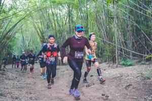 BIB: 3074, 3214
                            <button type="button" onclick="openModal(4470242)" class="btn btn-primary btn-sm float-right btn-popup" data-toggle="modal" data-target=".modal-high-quality">
                        <i class="fas fa-shopping-cart"></i> Add to Cart
                    </button>
                                            <button type="button" onclick="isThisMe(4470242, true)" class="btn btn-success btn-sm float-right btn-popup btn-isme hidden" data-toggle="tooltip" data-placement="bottom" title="นี่คือรูปของคุณใช่ไหม คลิกที่นี่เพื่อเอาเข้าอัลบั้ม">
                        <i class="fas fa-plus"></i> Add to album
                    </button>
                    <button type="button" onclick="isThisMe(4470242, false)" class="btn btn-warning btn-sm float-right btn-popup btn-isnotme hidden">
                        <i class="fas fa-ban"></i> Remove from album
                    </button>