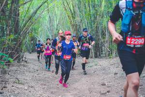 BIB: 42290, 2008, 281, 2883
                            <button type="button" onclick="openModal(4471554)" class="btn btn-primary btn-sm float-right btn-popup" data-toggle="modal" data-target=".modal-high-quality">
                        <i class="fas fa-shopping-cart"></i> Add to Cart
                    </button>
                                            <button type="button" onclick="isThisMe(4471554, true)" class="btn btn-success btn-sm float-right btn-popup btn-isme hidden" data-toggle="tooltip" data-placement="bottom" title="นี่คือรูปของคุณใช่ไหม คลิกที่นี่เพื่อเอาเข้าอัลบั้ม">
                        <i class="fas fa-plus"></i> Add to album
                    </button>
                    <button type="button" onclick="isThisMe(4471554, false)" class="btn btn-warning btn-sm float-right btn-popup btn-isnotme hidden">
                        <i class="fas fa-ban"></i> Remove from album
                    </button>