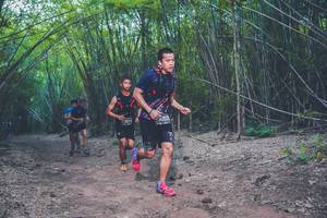 BIB: 3511, 602
                            <button type="button" onclick="openModal(4422791)" class="btn btn-primary btn-sm float-right btn-popup" data-toggle="modal" data-target=".modal-high-quality">
                        <i class="fas fa-shopping-cart"></i> Add to Cart
                    </button>
                                            <button type="button" onclick="isThisMe(4422791, true)" class="btn btn-success btn-sm float-right btn-popup btn-isme hidden" data-toggle="tooltip" data-placement="bottom" title="นี่คือรูปของคุณใช่ไหม คลิกที่นี่เพื่อเอาเข้าอัลบั้ม">
                        <i class="fas fa-plus"></i> Add to album
                    </button>
                    <button type="button" onclick="isThisMe(4422791, false)" class="btn btn-warning btn-sm float-right btn-popup btn-isnotme hidden">
                        <i class="fas fa-ban"></i> Remove from album
                    </button>