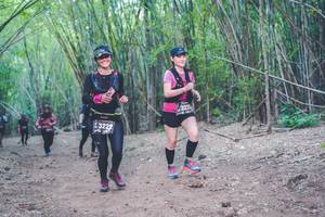 BIB: 3225, , 
                            <button type="button" onclick="openModal(4470297)" class="btn btn-primary btn-sm float-right btn-popup" data-toggle="modal" data-target=".modal-high-quality">
                        <i class="fas fa-shopping-cart"></i> Add to Cart
                    </button>
                                            <button type="button" onclick="isThisMe(4470297, true)" class="btn btn-success btn-sm float-right btn-popup btn-isme hidden" data-toggle="tooltip" data-placement="bottom" title="นี่คือรูปของคุณใช่ไหม คลิกที่นี่เพื่อเอาเข้าอัลบั้ม">
                        <i class="fas fa-plus"></i> Add to album
                    </button>
                    <button type="button" onclick="isThisMe(4470297, false)" class="btn btn-warning btn-sm float-right btn-popup btn-isnotme hidden">
                        <i class="fas fa-ban"></i> Remove from album
                    </button>