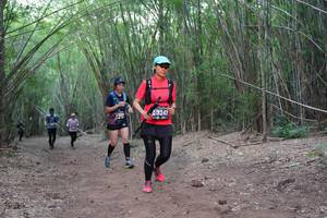 BIB: 3247, 328
                            <button type="button" onclick="openModal(4440012)" class="btn btn-primary btn-sm float-right btn-popup" data-toggle="modal" data-target=".modal-high-quality">
                        <i class="fas fa-shopping-cart"></i> Add to Cart
                    </button>
                                            <button type="button" onclick="isThisMe(4440012, true)" class="btn btn-success btn-sm float-right btn-popup btn-isme hidden" data-toggle="tooltip" data-placement="bottom" title="นี่คือรูปของคุณใช่ไหม คลิกที่นี่เพื่อเอาเข้าอัลบั้ม">
                        <i class="fas fa-plus"></i> Add to album
                    </button>
                    <button type="button" onclick="isThisMe(4440012, false)" class="btn btn-warning btn-sm float-right btn-popup btn-isnotme hidden">
                        <i class="fas fa-ban"></i> Remove from album
                    </button>