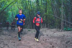 BIB: 3331, 340
                            <button type="button" onclick="openModal(4423200)" class="btn btn-primary btn-sm float-right btn-popup" data-toggle="modal" data-target=".modal-high-quality">
                        <i class="fas fa-shopping-cart"></i> Add to Cart
                    </button>
                                            <button type="button" onclick="isThisMe(4423200, true)" class="btn btn-success btn-sm float-right btn-popup btn-isme hidden" data-toggle="tooltip" data-placement="bottom" title="นี่คือรูปของคุณใช่ไหม คลิกที่นี่เพื่อเอาเข้าอัลบั้ม">
                        <i class="fas fa-plus"></i> Add to album
                    </button>
                    <button type="button" onclick="isThisMe(4423200, false)" class="btn btn-warning btn-sm float-right btn-popup btn-isnotme hidden">
                        <i class="fas fa-ban"></i> Remove from album
                    </button>